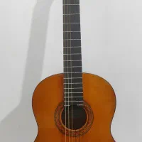 گیتار یاماها c40 با هارد کیس تمام چرم|گیتار، بیس، امپلیفایر|ملایر, |دیوار