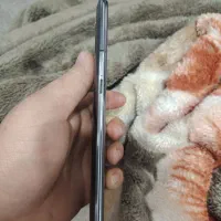 گوشی a80|موبایل|رشت, پارک شهر|دیوار