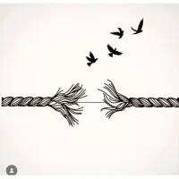 آموزش تتو بدن بصورت تخصصی|خدمات آرایشگری و زیبایی|مشگین شهر, |دیوار