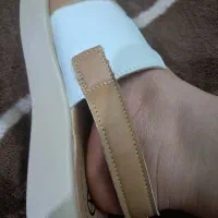 صندل|کیف، کفش، کمربند|فلاورجان, |دیوار