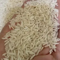 برنج هاشمی درجه یک الک کار خانه