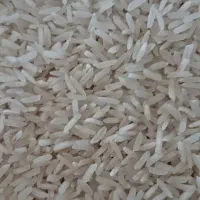 برنج لنجان اعلا ب شرط