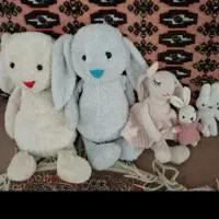 خرگوش سایز بزرگ درحد نو