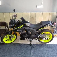 پیشتاز نیارو