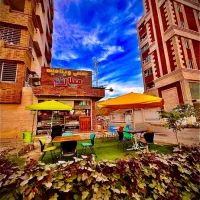 نیرو کار بستنی فروشی