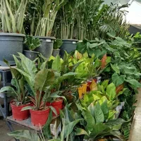 اجاره سوییت ویلا وباغ حومه تهران|استخدام سرایداری و نظافت|تهران, تهرانپارس شرقی|دیوار