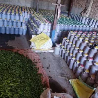 بخش خیار شور خوش طعم وباکیفعت|خوردنی و آشامیدنی|محمدشهر, جعفرآباد|دیوار