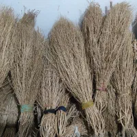 جارو قیمت مناسب و امسالی|لوازم نظافت|نیشابور, بنیاد شهید|دیوار