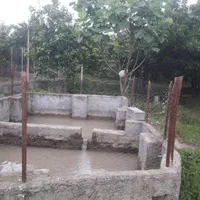 فروش/تهاتر ۲۷۰۰ متر باغ کیوی ومرکبات نزدیک شهر|فروش دفتر صنعتی، کشاورزی، تجاری|تنکابن, |دیوار