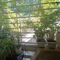 فروش آپارتمان رادیودریا 130|فروش آپارتمان|چالوس, |دیوار