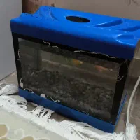 آکواریوم کوچک زیبا 12*18*23|ماهی|اصفهان, شفق|دیوار