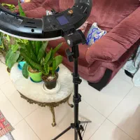 رینگ لایت Viltrox VL-600T|دوربین عکاسی و فیلم‌برداری|مشهد, اقبال|دیوار