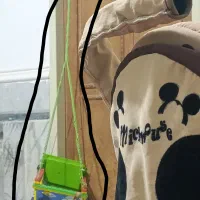 کالسکه و تاب|کالسکه و لوازم جانبی|زابل, |دیوار