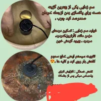 سم زدایی بدن|آرایشی، بهداشتی، درمانی|زابل, |دیوار