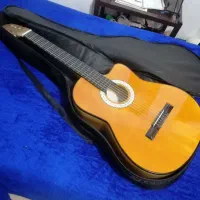 گیتار نو