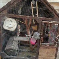 قفس برای فروش