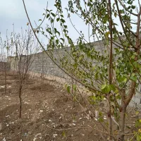 باغچه-225-متر-برق-داخل-ملک