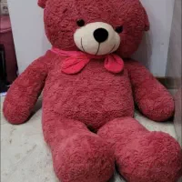 خرس شاسخین