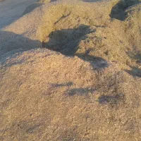 یونجه|لوازم جانبی حیوانات|فامنین, |دیوار