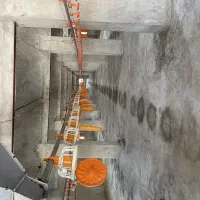 مرغداری گوشتی