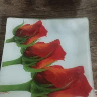 ضرفه غذا خوری