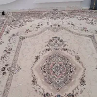 قالی|فرش|بندر ماهشهر, |دیوار