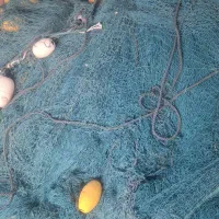 تور کره ای پرسان