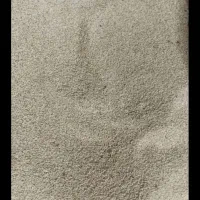 بذر گل تمیزو الک شده|گل و گیاه طبیعی|کوهدشت, |دیوار