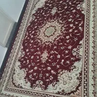 فرش تمیز|فرش|سنندج, |دیوار