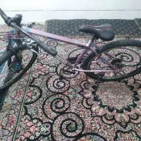 دوچرخه|دوچرخه، اسکیت، اسکوتر|اسفندقه, |دیوار