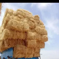 پرس جو گندم