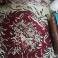 قالی 9 متری ماشینی لاکی|فرش|شیراز, شیخ علی چوپان|دیوار