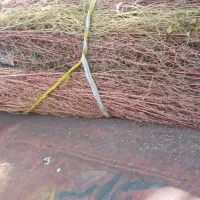 جارو مخصوص دامداران  وپارک وخانه باغ حیاط  خونه|لوازم نظافت|ایوان, |دیوار