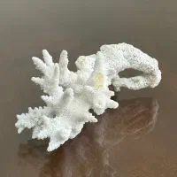 مرجان دریایی-مرجان دکوری-دکور آکواریوم