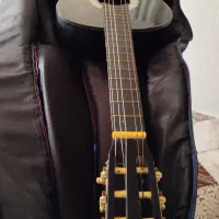 راهنمایی در مورد گیتار|فعالیت داوطلبانه|شیراز, پودنک|دیوار