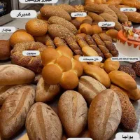 استخدام و کاریابی