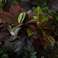 مبلشویی وفرشویی در منزل جوان