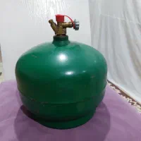 پیک نیک بوتان قدیمی در حد