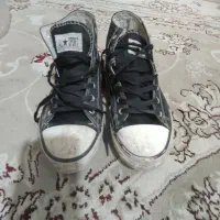 کفش|کیف، کفش، کمربند|بندرعباس, |دیوار