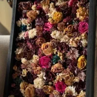 تابلوی گل جاودان|تابلو، نقاشی، عکس|یاسوج, |دیوار