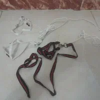 قلاده سایز ریز