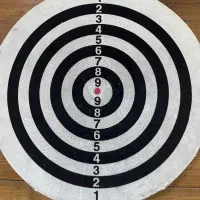 دارت حرفه ای و سالم|اسباببازی|آمل, |دیوار