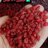 زرشک پفکی اعلا