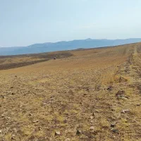 فروش زمین کشاورزی دیم|فروش دفتر صنعتی، کشاورزی، تجاری|میانه, |دیوار