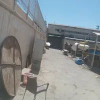 نگهداری سگ و حیوانات بی پناه رایگان|خدمات پیشه و مهارت|باغستان, |دیوار