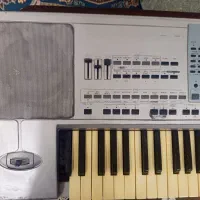 ارگ کیبورد p50|پیانو، کیبورد، آکاردئون|تربت جام, والفجر|دیوار