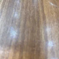 ۱۰۰۰سوله اجاره ایی بر مخصوص