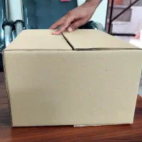 استخدام نیروی مبتدی و حرفه ای برای کارتن سازی