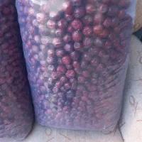 عناب امسالی رسید کیلو ۲۰۰|عمدهفروشی|بم, |دیوار