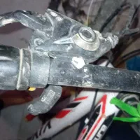 دوتا دوچرنه نو سالم سفیده ویوا و النپیک